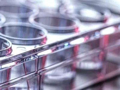 Pharmaceutical Research, Pipetting sample into a multi well plate