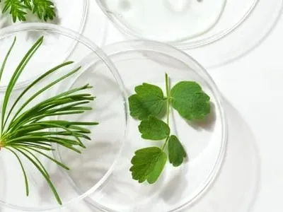Petri dishes, cosmetic gel swatches and plants on white background