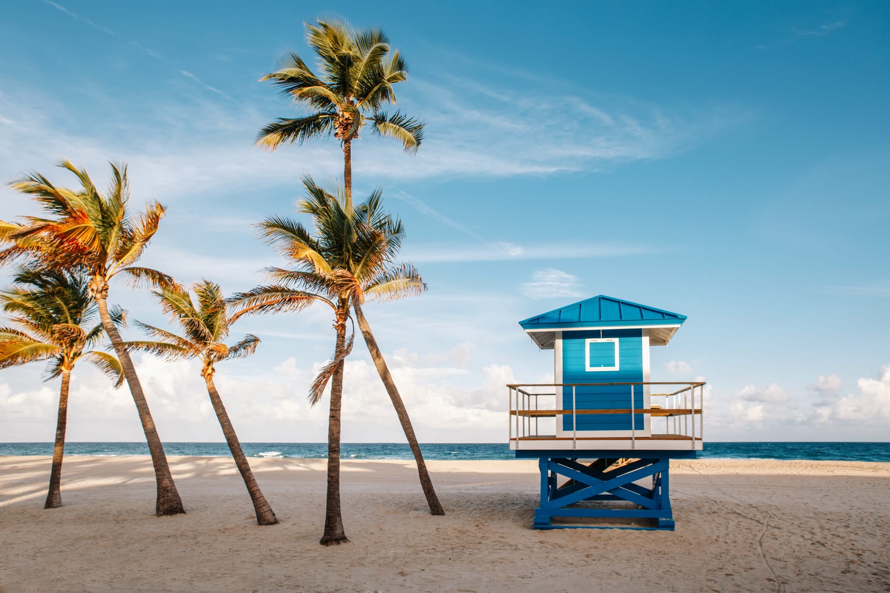 Palm trees and a blue lifeguard stand on a sunny Florida beach