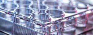 Pharmaceutical Research, Pipetting sample into a multi well plate