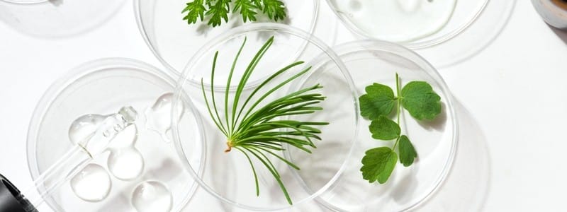 Petri dishes, cosmetic gel swatches and plants on white background